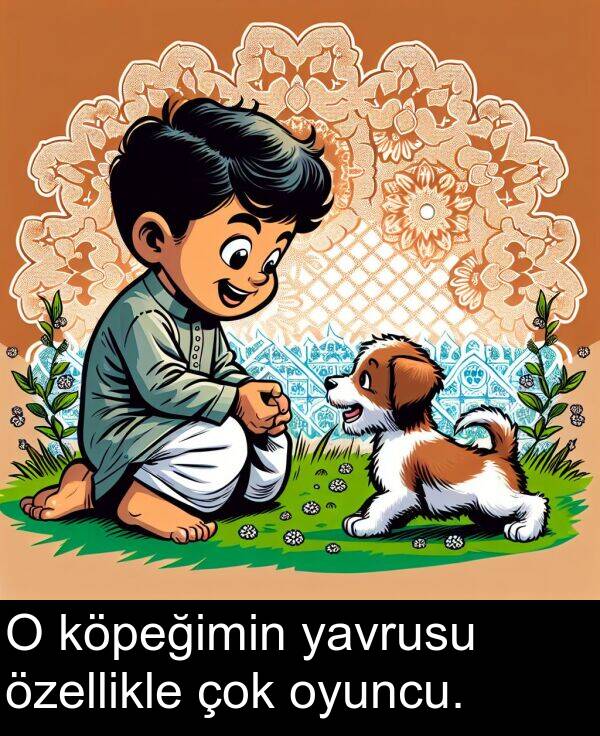 yavrusu: O köpeğimin yavrusu özellikle çok oyuncu.