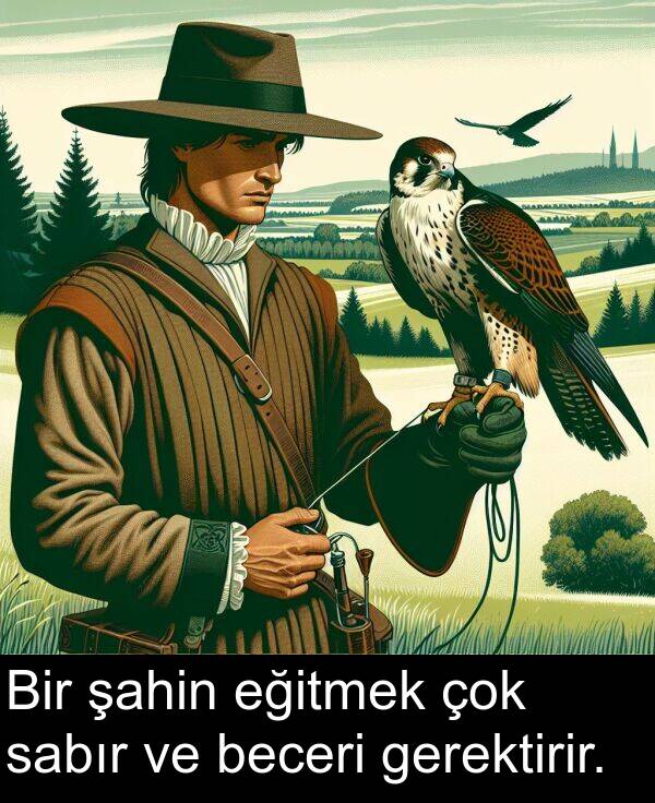 eğitmek: Bir şahin eğitmek çok sabır ve beceri gerektirir.