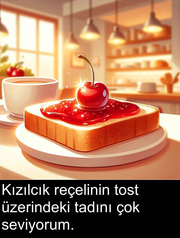 tadını: Kızılcık reçelinin tost üzerindeki tadını çok seviyorum.