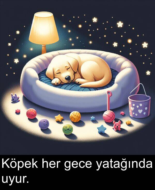 uyur: Köpek her gece yatağında uyur.