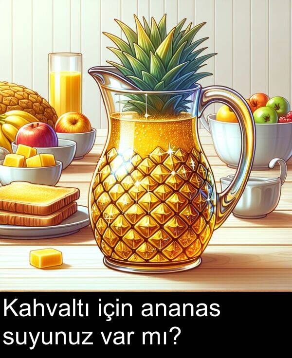 var: Kahvaltı için ananas suyunuz var mı?