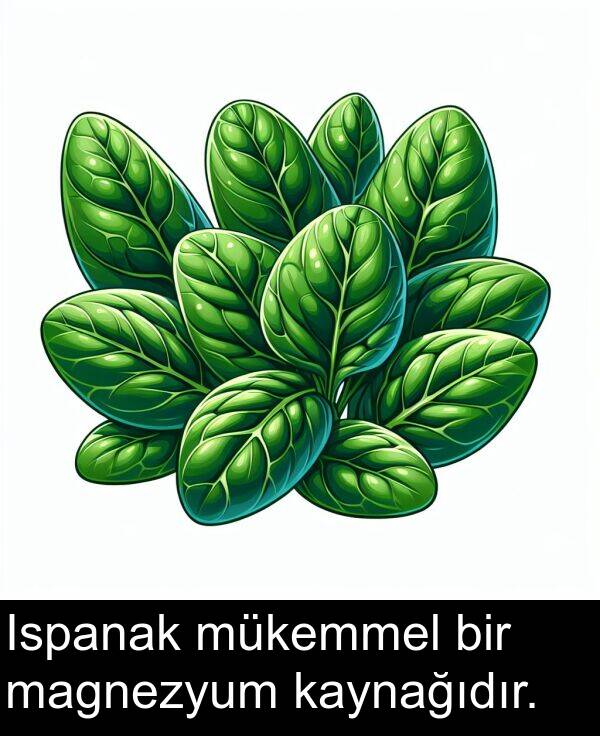 magnezyum: Ispanak mükemmel bir magnezyum kaynağıdır.