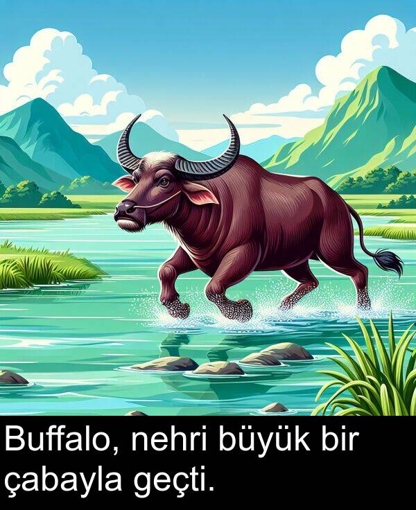 çabayla: Buffalo, nehri büyük bir çabayla geçti.