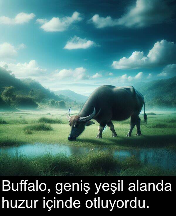 geniş: Buffalo, geniş yeşil alanda huzur içinde otluyordu.