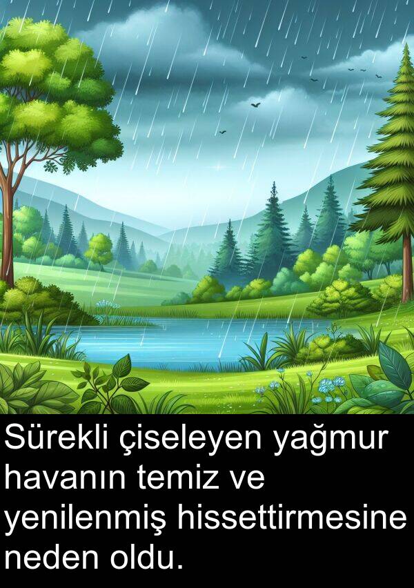 havanın: Sürekli çiseleyen yağmur havanın temiz ve yenilenmiş hissettirmesine neden oldu.