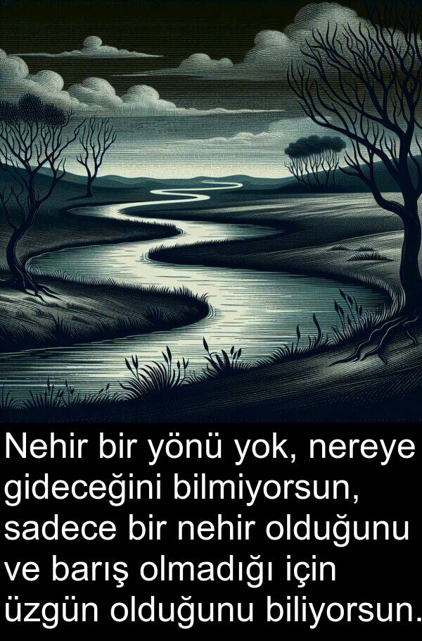 nehir: Nehir bir yönü yok, nereye gideceğini bilmiyorsun, sadece bir nehir olduğunu ve barış olmadığı için üzgün olduğunu biliyorsun.