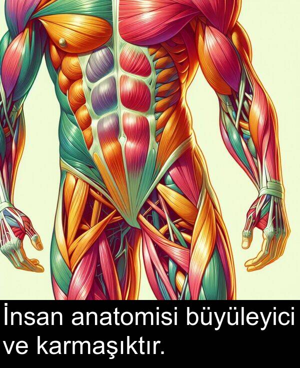 karmaşıktır: İnsan anatomisi büyüleyici ve karmaşıktır.