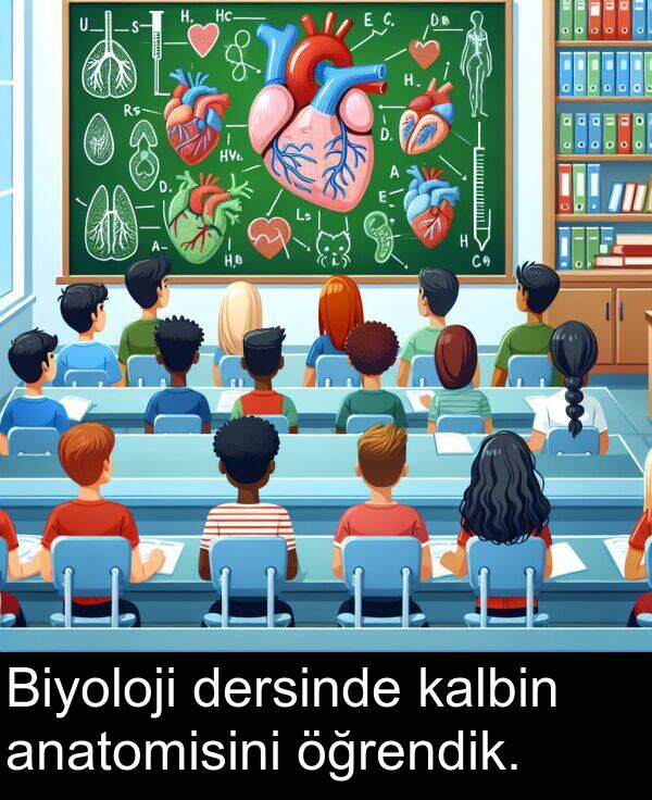 kalbin: Biyoloji dersinde kalbin anatomisini öğrendik.