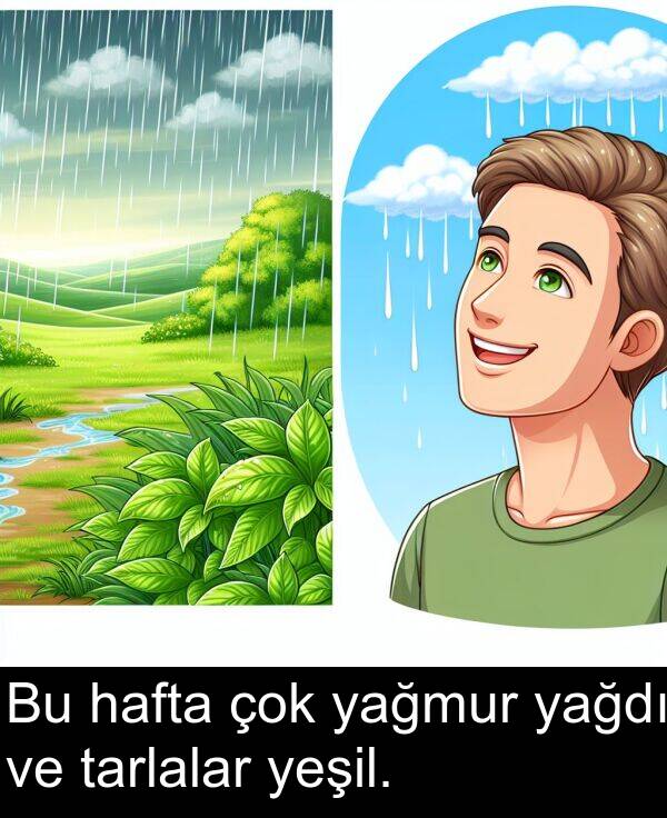 hafta: Bu hafta çok yağmur yağdı ve tarlalar yeşil.