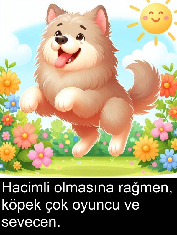 olmasına: Hacimli olmasına rağmen, köpek çok oyuncu ve sevecen.