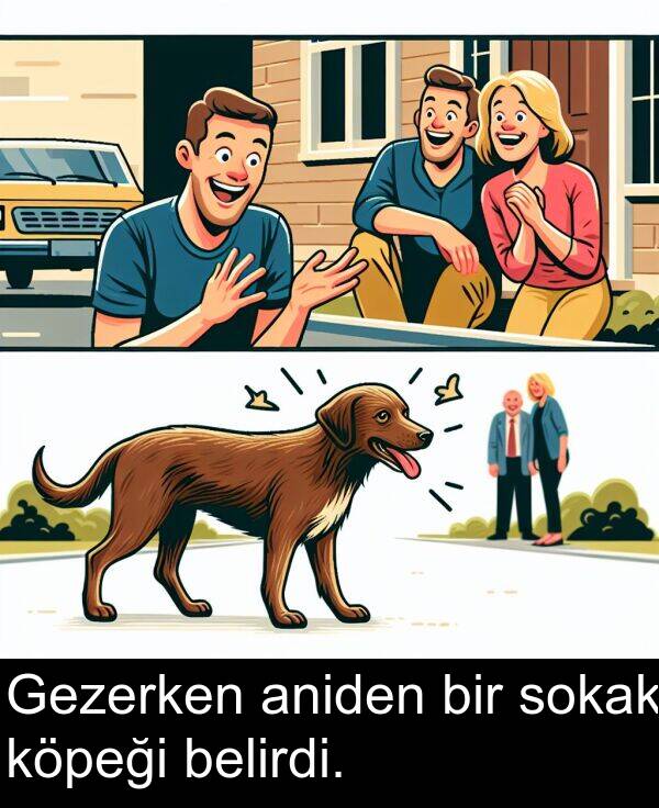 köpeği: Gezerken aniden bir sokak köpeği belirdi.