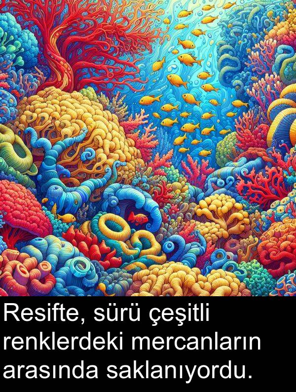 çeşitli: Resifte, sürü çeşitli renklerdeki mercanların arasında saklanıyordu.