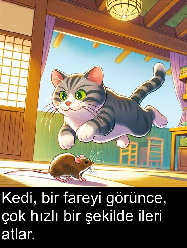 fareyi: Kedi, bir fareyi görünce, çok hızlı bir şekilde ileri atlar.