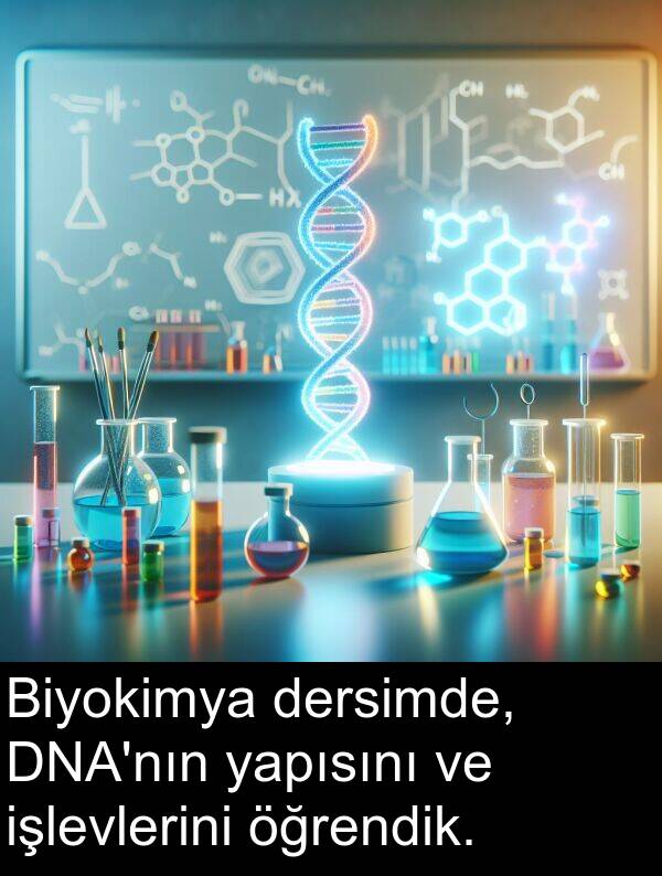 yapısını: Biyokimya dersimde, DNA'nın yapısını ve işlevlerini öğrendik.