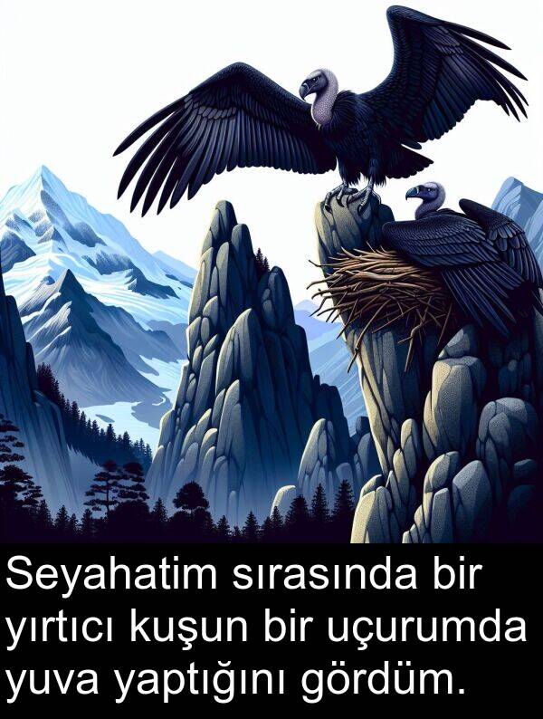 yaptığını: Seyahatim sırasında bir yırtıcı kuşun bir uçurumda yuva yaptığını gördüm.