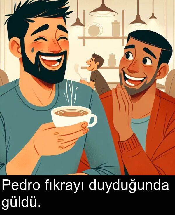 fıkrayı: Pedro fıkrayı duyduğunda güldü.