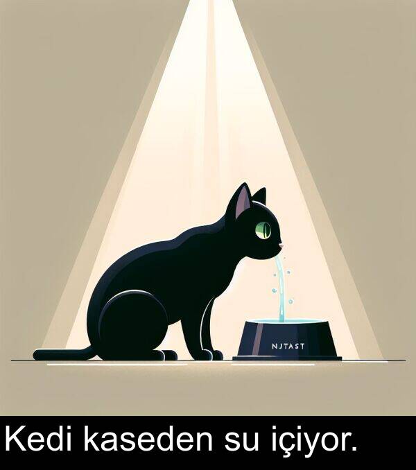 içiyor: Kedi kaseden su içiyor.