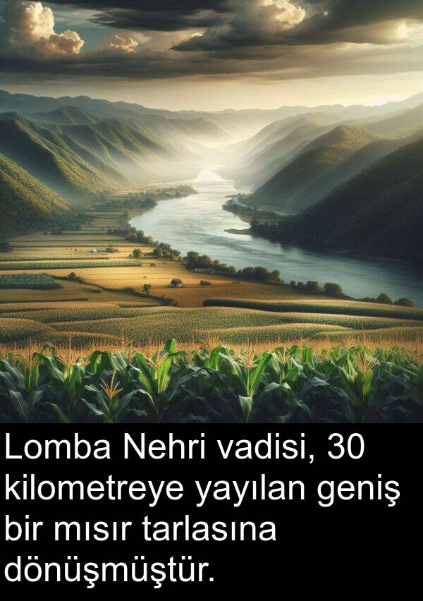 vadisi: Lomba Nehri vadisi, 30 kilometreye yayılan geniş bir mısır tarlasına dönüşmüştür.