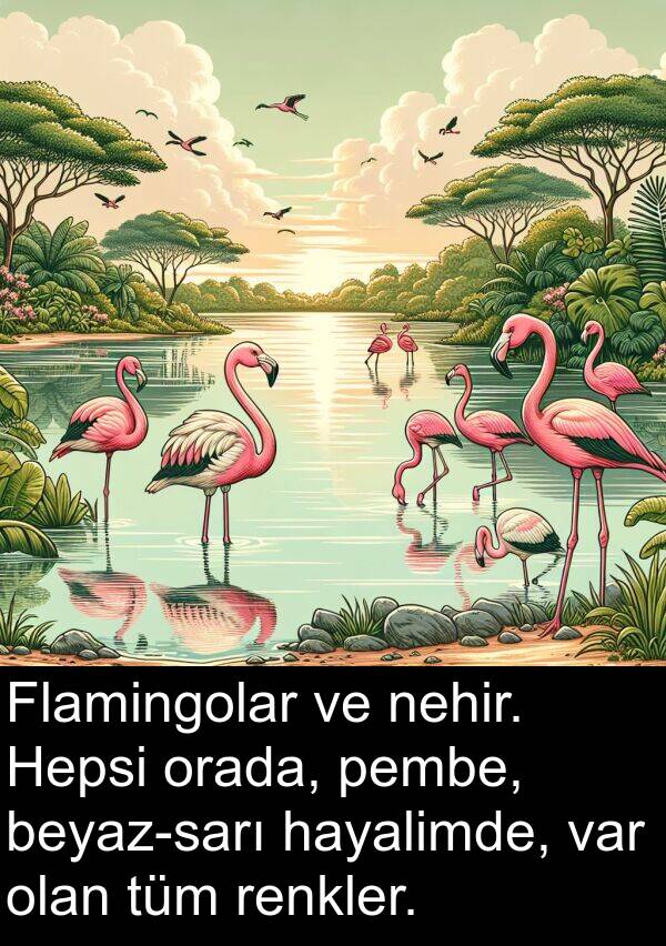 hayalimde: Flamingolar ve nehir. Hepsi orada, pembe, beyaz-sarı hayalimde, var olan tüm renkler.