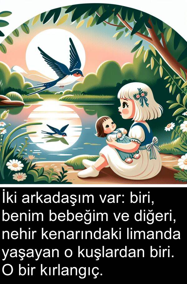 limanda: İki arkadaşım var: biri, benim bebeğim ve diğeri, nehir kenarındaki limanda yaşayan o kuşlardan biri. O bir kırlangıç.