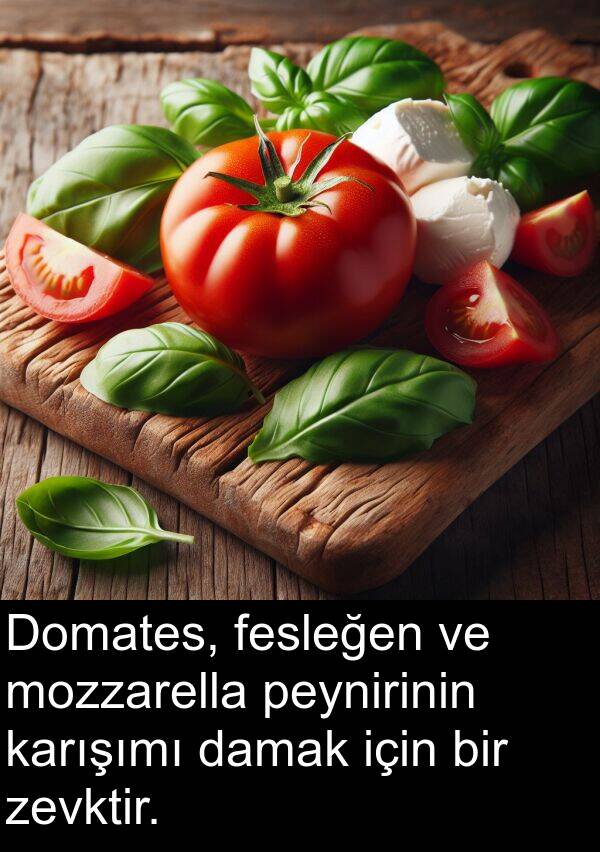 damak: Domates, fesleğen ve mozzarella peynirinin karışımı damak için bir zevktir.