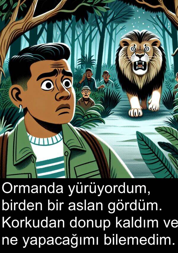 kaldım: Ormanda yürüyordum, birden bir aslan gördüm. Korkudan donup kaldım ve ne yapacağımı bilemedim.