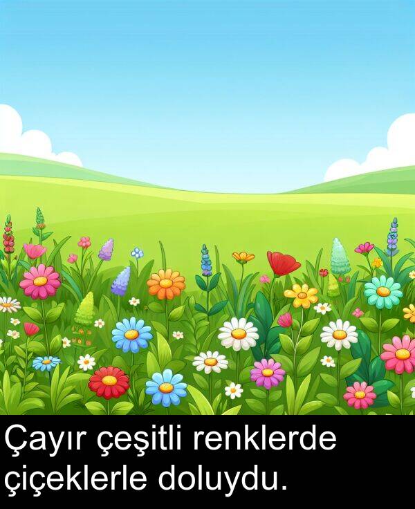 çeşitli: Çayır çeşitli renklerde çiçeklerle doluydu.