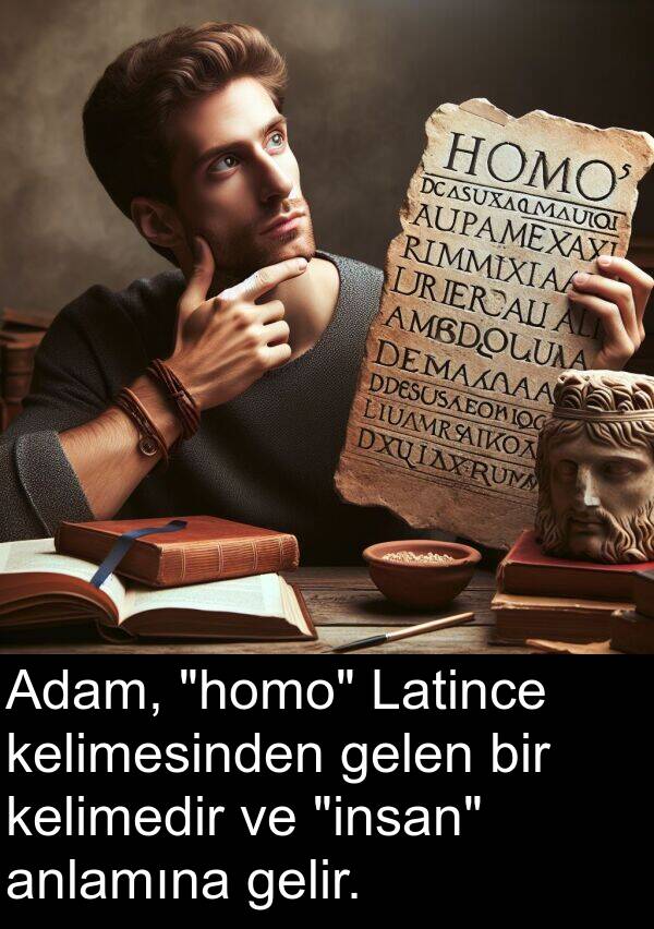 gelir: Adam, "homo" Latince kelimesinden gelen bir kelimedir ve "insan" anlamına gelir.