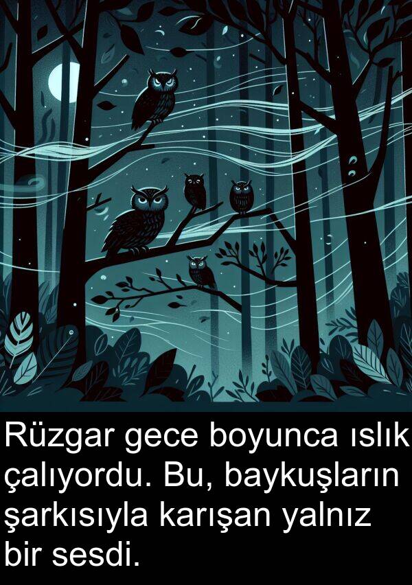 çalıyordu: Rüzgar gece boyunca ıslık çalıyordu. Bu, baykuşların şarkısıyla karışan yalnız bir sesdi.