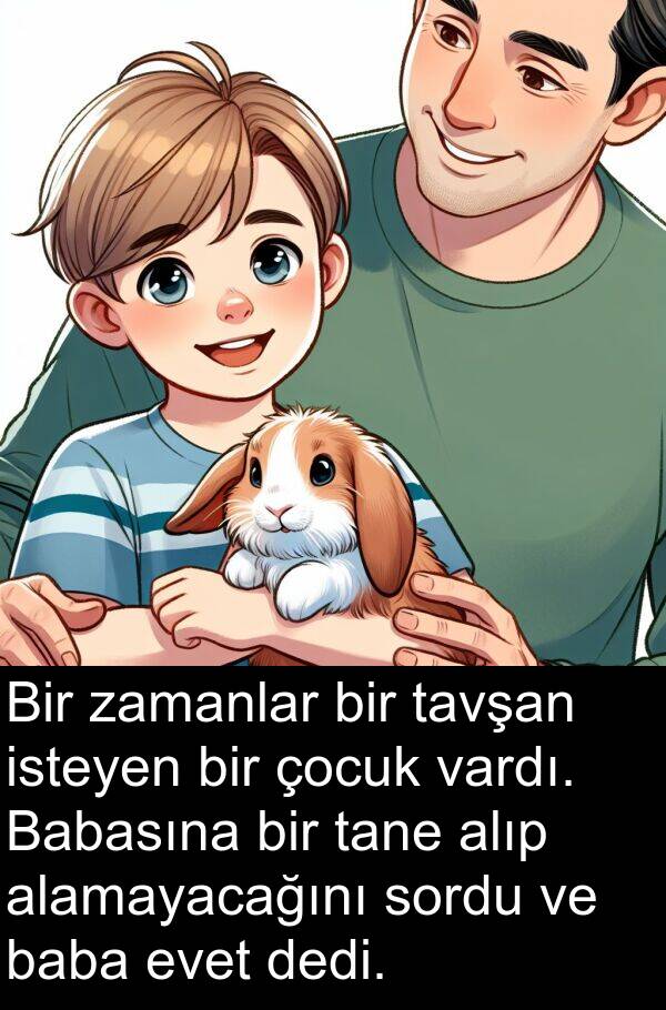 dedi: Bir zamanlar bir tavşan isteyen bir çocuk vardı. Babasına bir tane alıp alamayacağını sordu ve baba evet dedi.