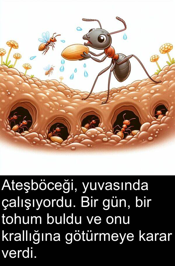 verdi: Ateşböceği, yuvasında çalışıyordu. Bir gün, bir tohum buldu ve onu krallığına götürmeye karar verdi.