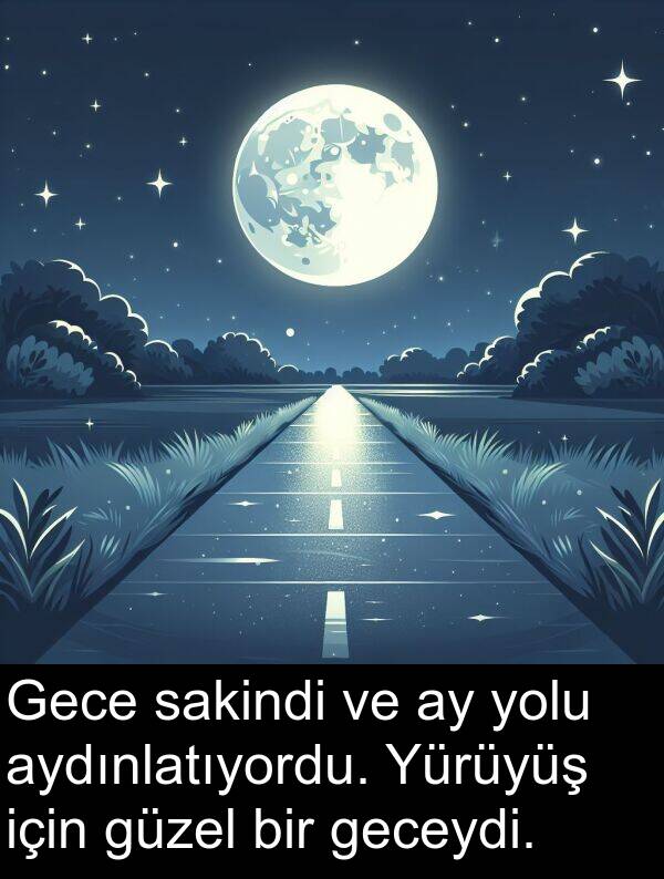 sakindi: Gece sakindi ve ay yolu aydınlatıyordu. Yürüyüş için güzel bir geceydi.