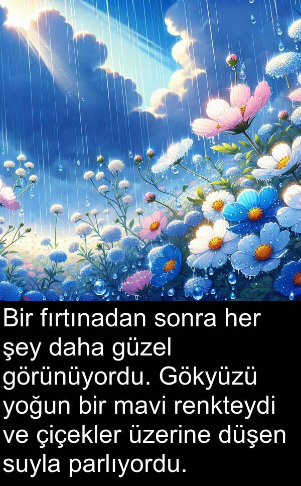 fırtınadan: Bir fırtınadan sonra her şey daha güzel görünüyordu. Gökyüzü yoğun bir mavi renkteydi ve çiçekler üzerine düşen suyla parlıyordu.