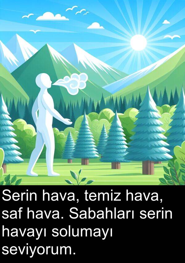 hava: Serin hava, temiz hava, saf hava. Sabahları serin havayı solumayı seviyorum.