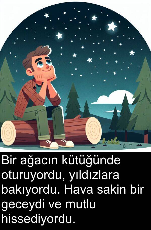 ağacın: Bir ağacın kütüğünde oturuyordu, yıldızlara bakıyordu. Hava sakin bir geceydi ve mutlu hissediyordu.