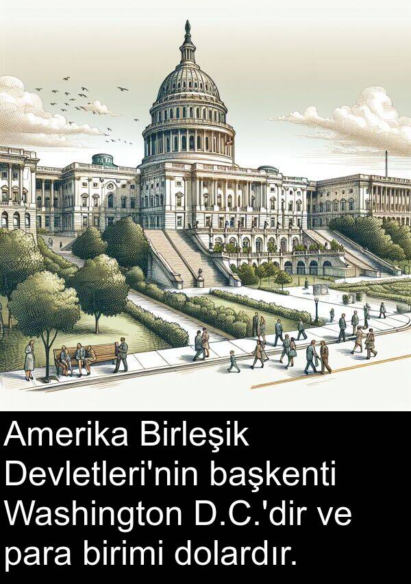 para: Amerika Birleşik Devletleri'nin başkenti Washington D.C.'dir ve para birimi dolardır.