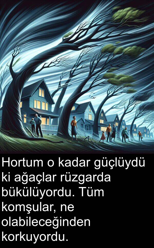 rüzgarda: Hortum o kadar güçlüydü ki ağaçlar rüzgarda bükülüyordu. Tüm komşular, ne olabileceğinden korkuyordu.