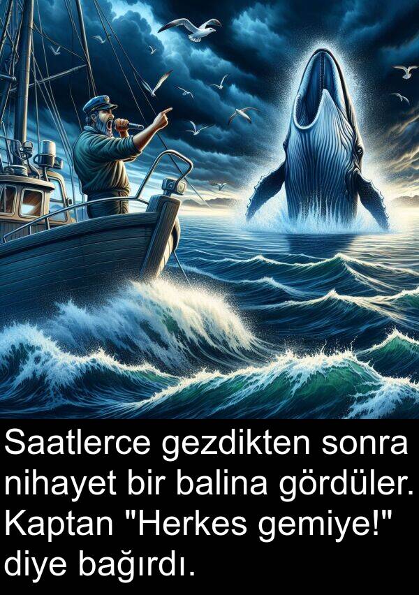 balina: Saatlerce gezdikten sonra nihayet bir balina gördüler. Kaptan "Herkes gemiye!" diye bağırdı.