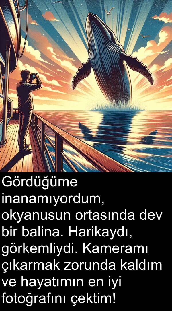 çektim: Gördüğüme inanamıyordum, okyanusun ortasında dev bir balina. Harikaydı, görkemliydi. Kameramı çıkarmak zorunda kaldım ve hayatımın en iyi fotoğrafını çektim!