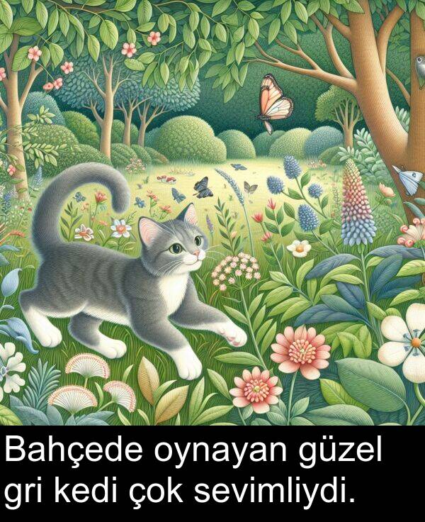 kedi: Bahçede oynayan güzel gri kedi çok sevimliydi.