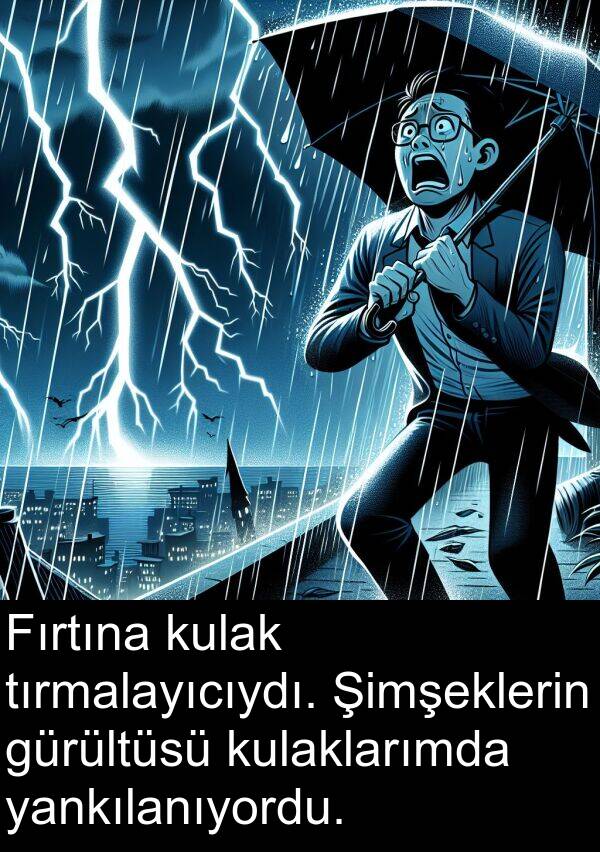 yankılanıyordu: Fırtına kulak tırmalayıcıydı. Şimşeklerin gürültüsü kulaklarımda yankılanıyordu.