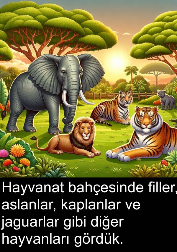 jaguarlar: Hayvanat bahçesinde filler, aslanlar, kaplanlar ve jaguarlar gibi diğer hayvanları gördük.