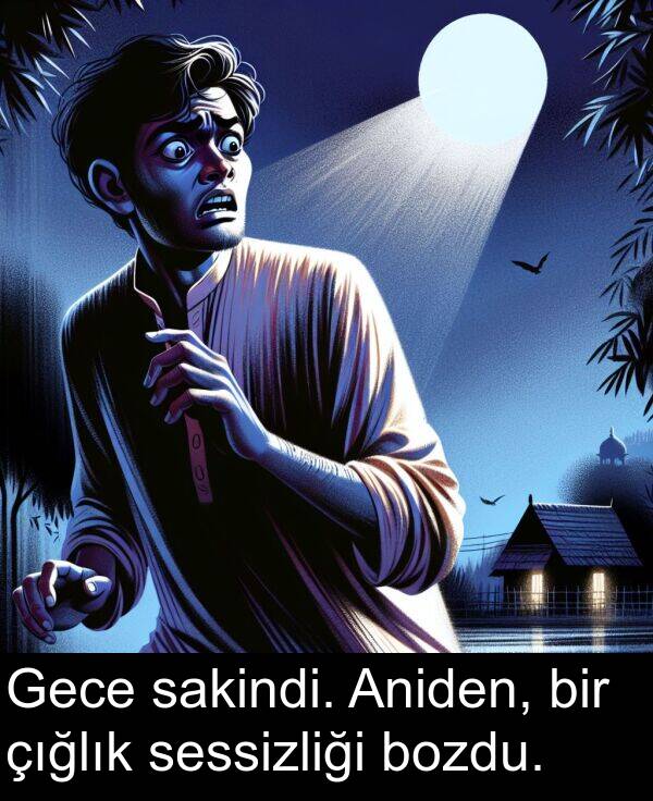 çığlık: Gece sakindi. Aniden, bir çığlık sessizliği bozdu.