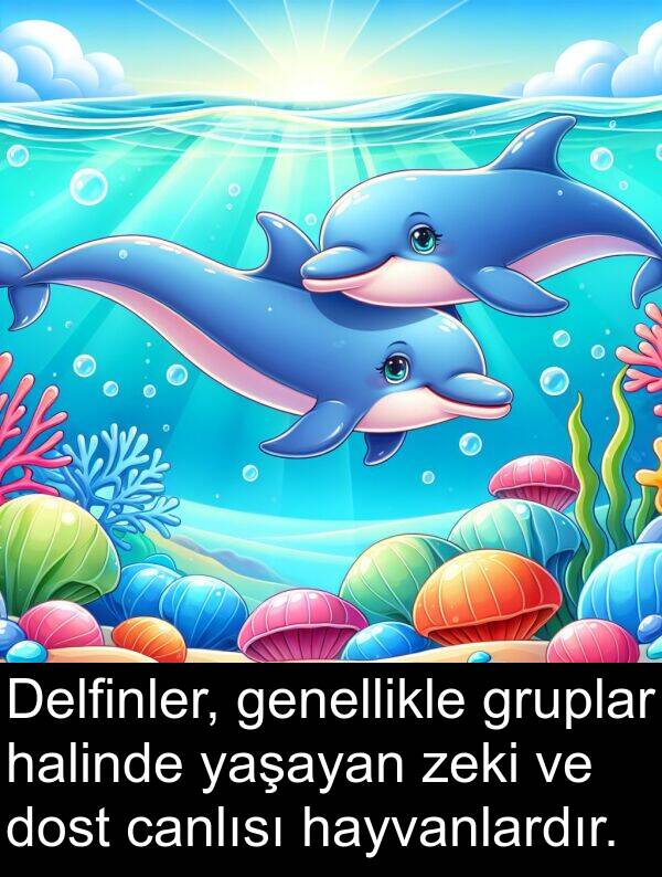 hayvanlardır: Delfinler, genellikle gruplar halinde yaşayan zeki ve dost canlısı hayvanlardır.