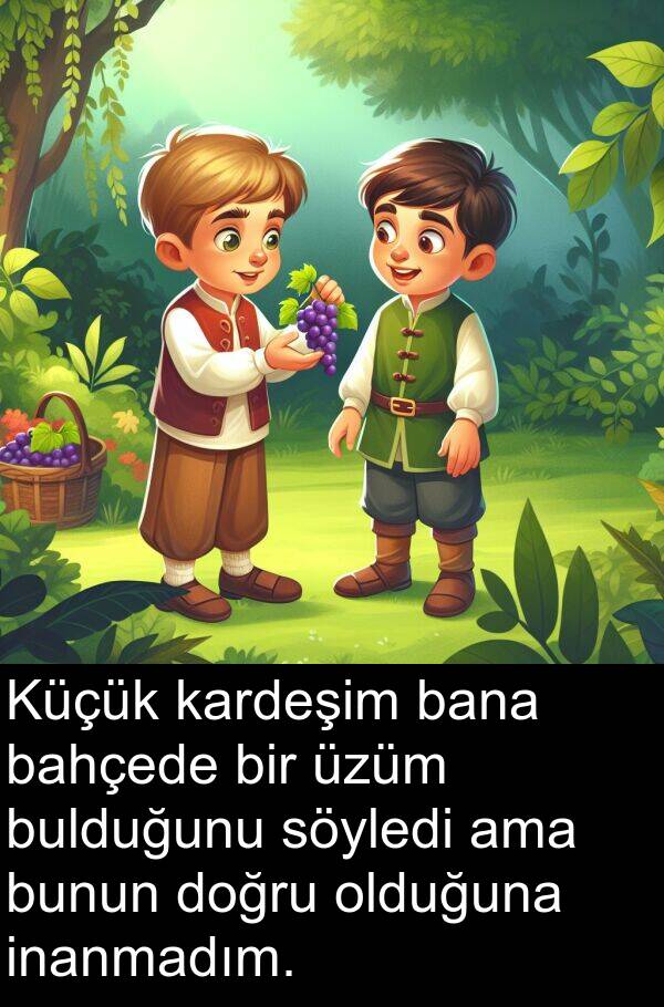 bahçede: Küçük kardeşim bana bahçede bir üzüm bulduğunu söyledi ama bunun doğru olduğuna inanmadım.