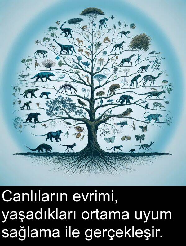 uyum: Canlıların evrimi, yaşadıkları ortama uyum sağlama ile gerçekleşir.