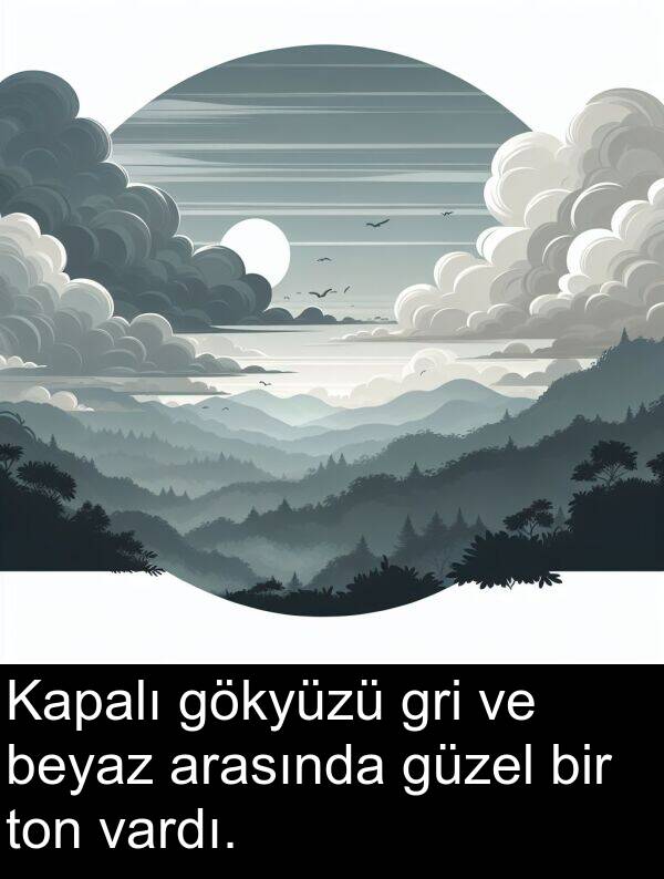 vardı: Kapalı gökyüzü gri ve beyaz arasında güzel bir ton vardı.