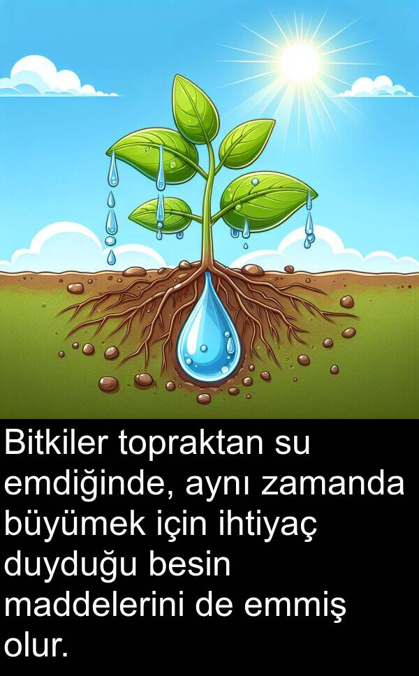 emmiş: Bitkiler topraktan su emdiğinde, aynı zamanda büyümek için ihtiyaç duyduğu besin maddelerini de emmiş olur.