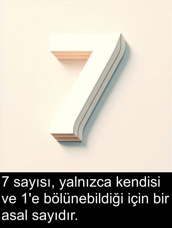 yalnızca: 7 sayısı, yalnızca kendisi ve 1'e bölünebildiği için bir asal sayıdır.