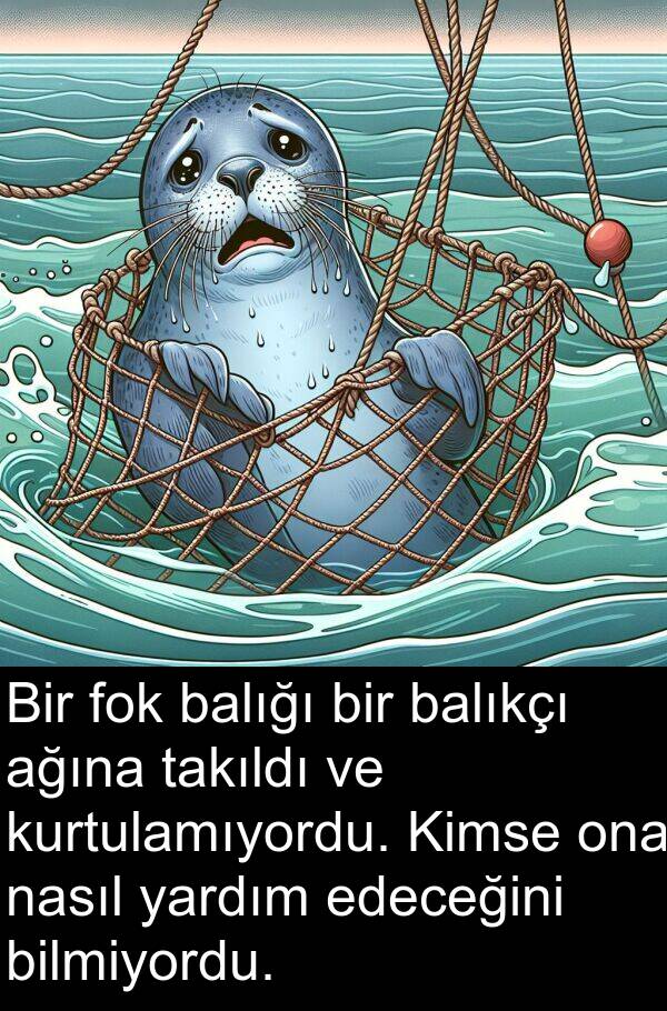 takıldı: Bir fok balığı bir balıkçı ağına takıldı ve kurtulamıyordu. Kimse ona nasıl yardım edeceğini bilmiyordu.